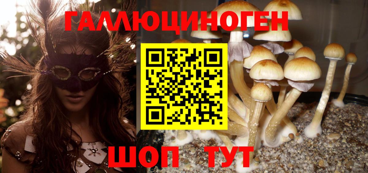 Псилоцибиновые грибы мухоморы Кинель