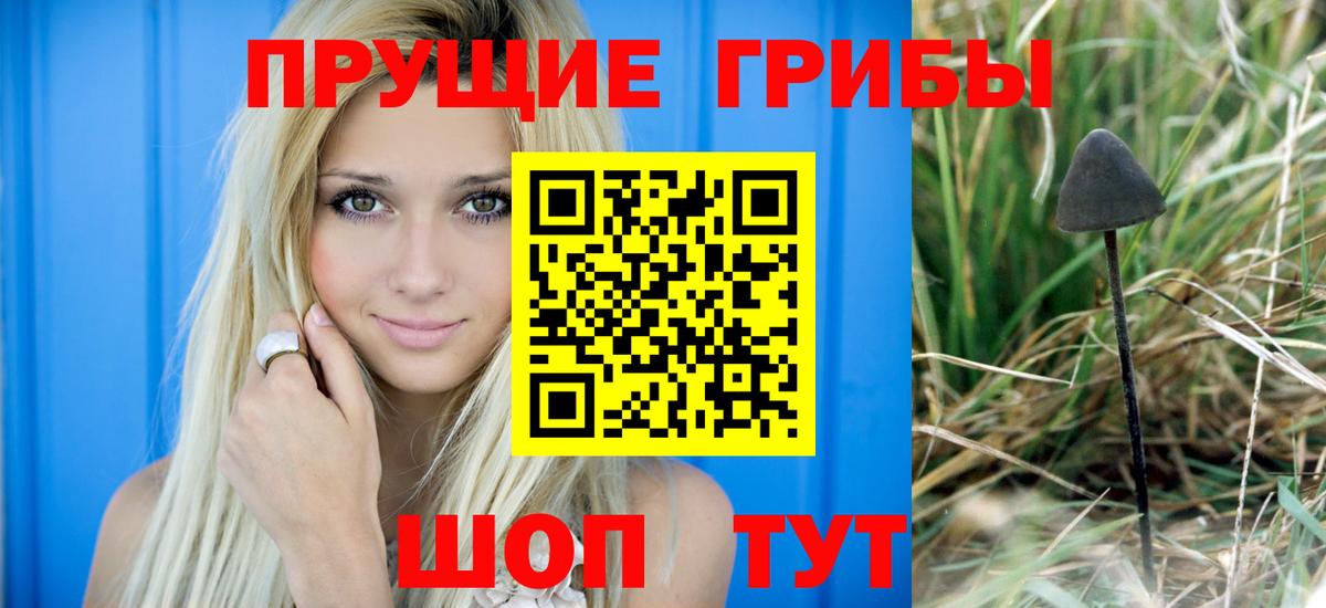 Галлюциногенные грибы Cubensis  Псилоцибиновые грибы Psilocybine cubensis  Вход с VPN  Кинель 